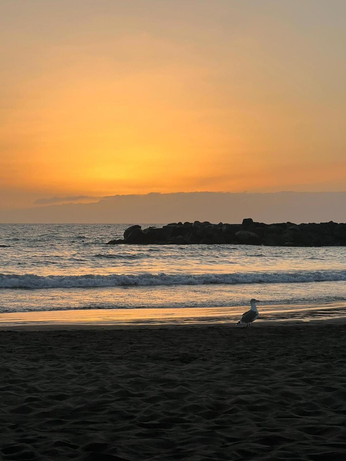 פלאייה דה לאס אמריקס Apartamento En Primera Linea De Playa, Centrico, Tranquilo מראה חיצוני תמונה